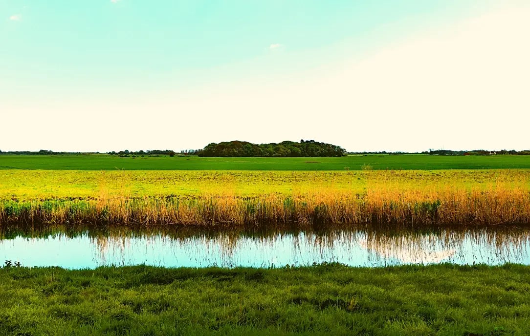land-&-water-case-study-featured-image1