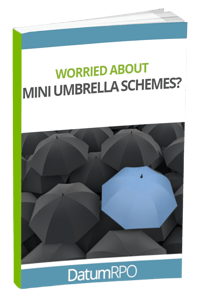 Worried about mini umbrella companies
